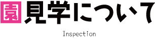 福岡市城南区の保育園さくらこども園の見学について